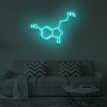 Load image into Gallery viewer, "SEROTONIN" LED Neon Sign