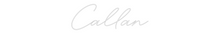 Load image into Gallery viewer, Custom Neon: Callan
